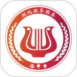 鄂汇办app