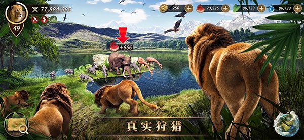 野兽领主新世界国际版官方版