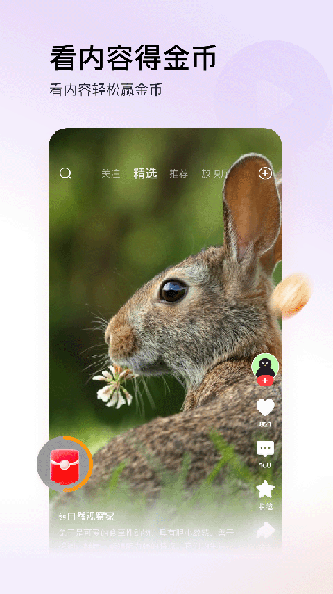 头条搜索极速版app