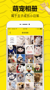 猫语交流翻译器