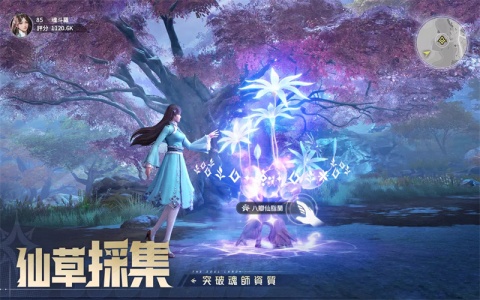 斗罗大陆猎魂世界台服