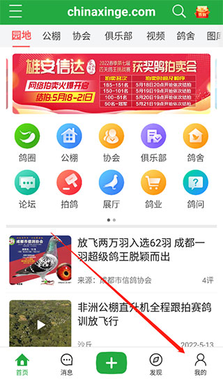 中国信鸽信息网app