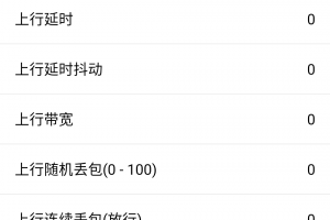 金砖弱网12.0