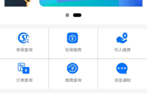 湘税社保app