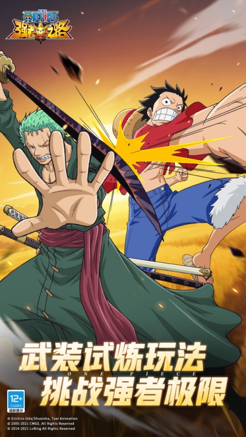 航海王强者之路果盘版