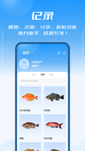 问鱼app