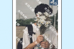 水印大师最新版