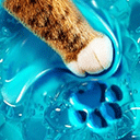 解压开心果官方版