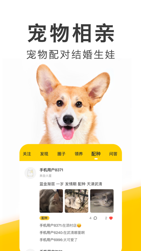 有只宠物手机版
