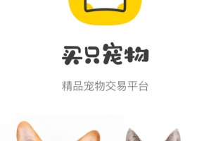 买只宠物app