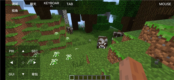 Minecraft Java版