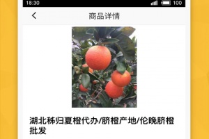 农产品信息网app