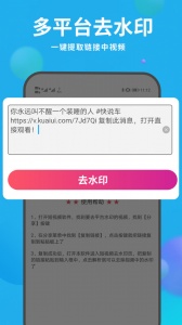 去水印视频解析app