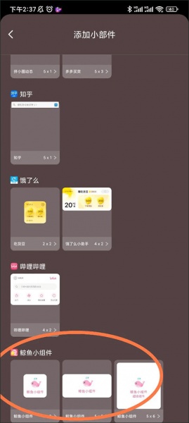 鲸鱼小组件最新版
