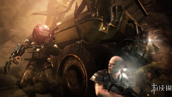 异形大战铁血战士