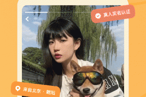 探探交友软件免费版