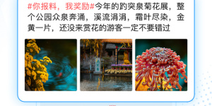 早上听新闻的手机软件合集