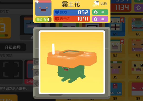 宝可梦大探险网易版