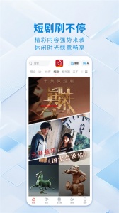 长江日报(大武汉app)