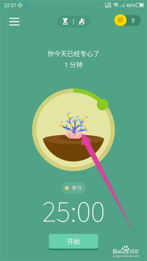 Forest最新版