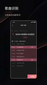 绘影字幕app