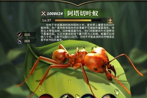 小小蚁国手游官方版