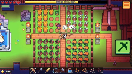 浮岛物语国际版(Forager)