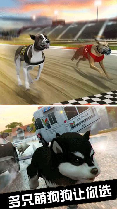 我的萌宠世界最新版