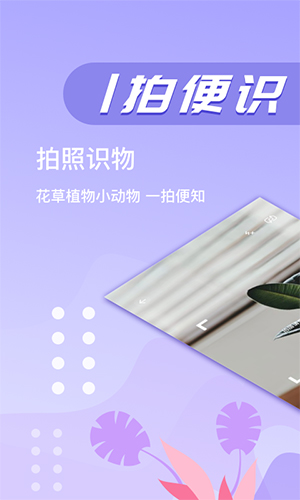 万图拍app