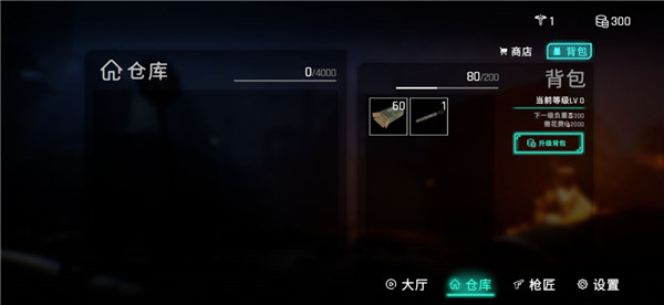 死支升变游戏