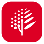 博鳌医学官方版