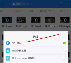 mx播放器tv电视版官方版