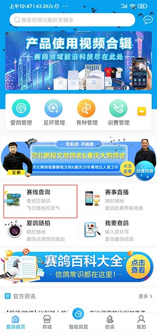 爱鸽者最新版