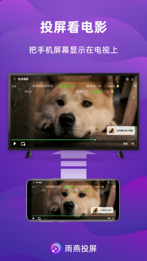 雨燕投屏app