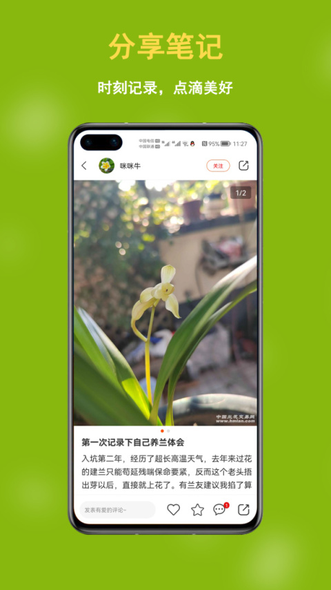 兰花交易网app