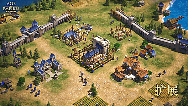 帝国时代国际版(Age of Empires International Edition)