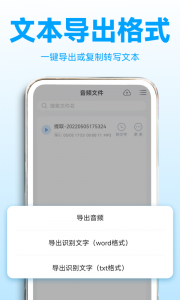 录音转文字助理app