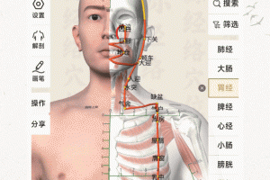中济经络穴位app