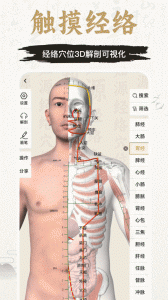 中济经络穴位app