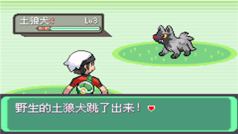 口袋妖怪冰雪城(快速升级)