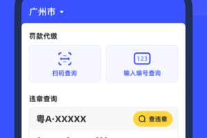 8684查违章app