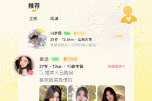 伊对网络交友平台