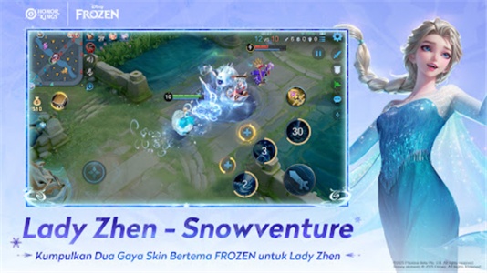 王者荣耀巴西服