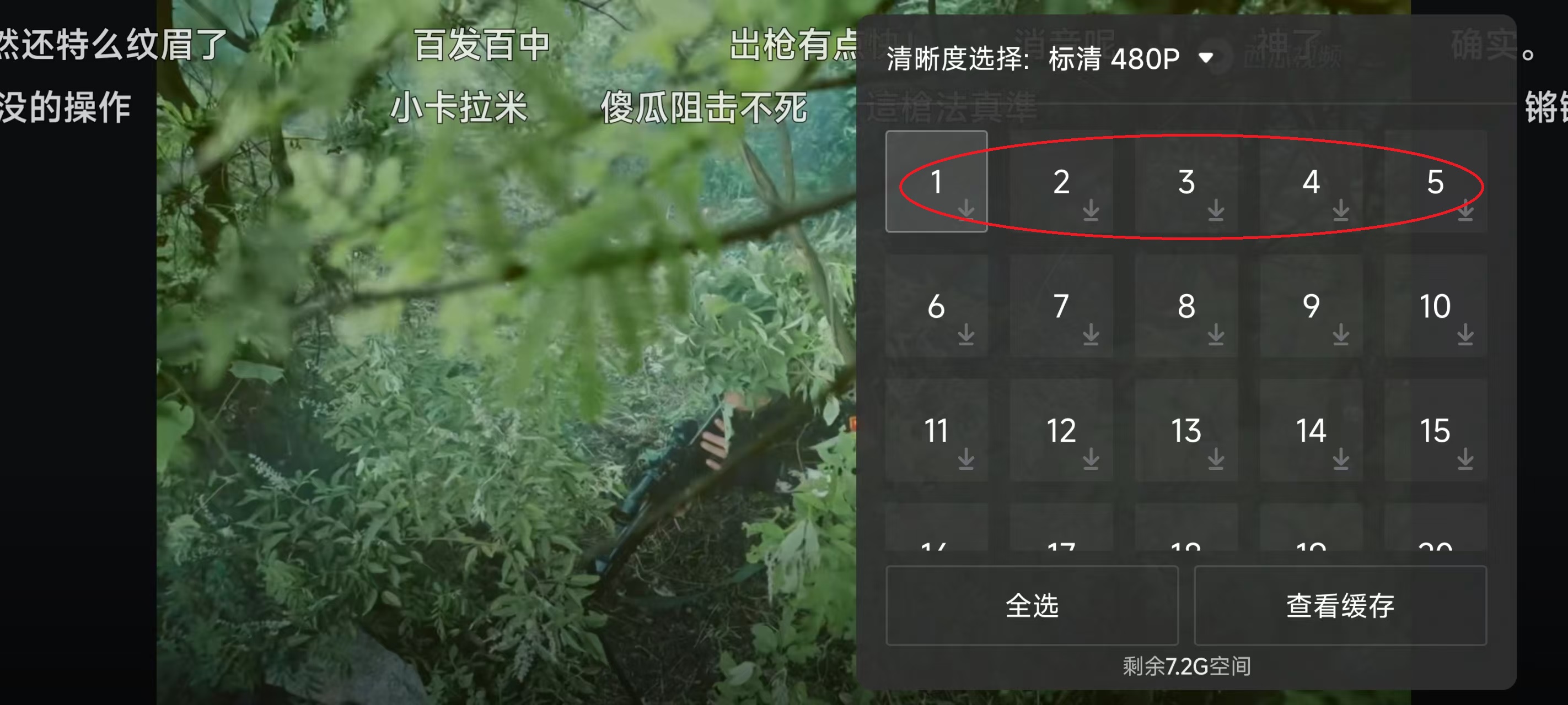 西瓜视频旧版