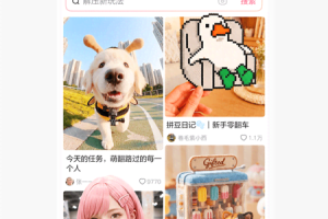 可颂官方版