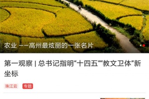 看高州手机版