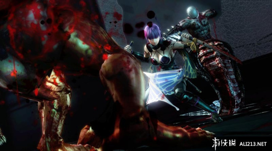 忍者龙剑传3：刀锋边缘