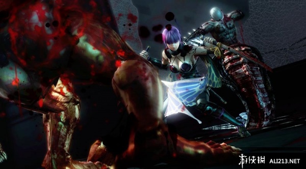 忍者龙剑传3：刀锋边缘