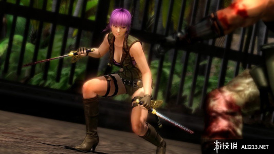 忍者龙剑传3：刀锋边缘