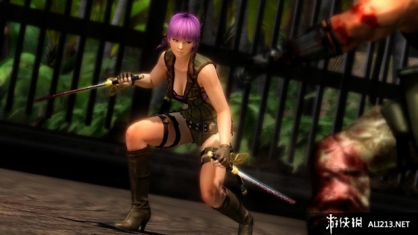 忍者龙剑传3：刀锋边缘